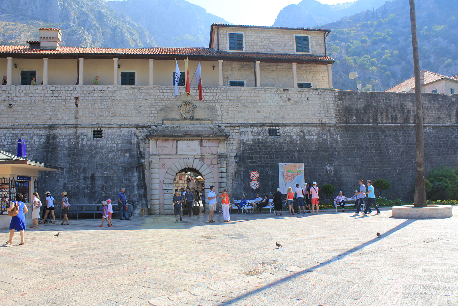 Kotor